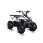 SKYJET BRAVES 110 ATV BEYAZ (OFFROAD)