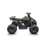 SKYJET BRAVES 110 ATV SİYAH (OFFROAD)